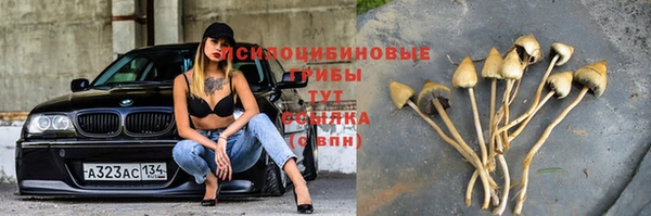 молекула духа Алексин