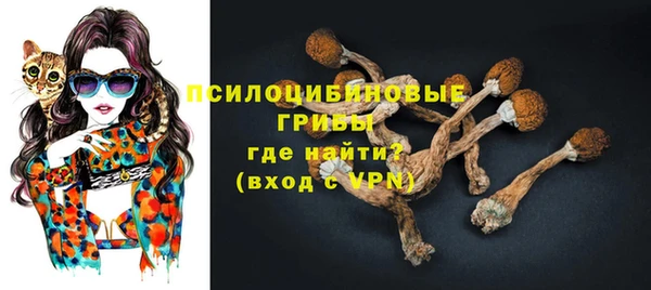 молекула духа Алексин