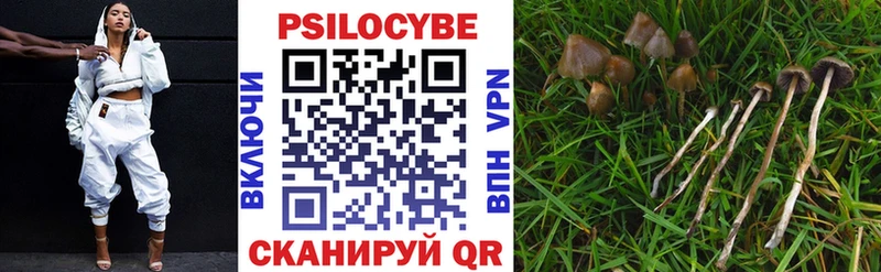 цена   Североуральск  Галлюциногенные грибы Psilocybine cubensis 